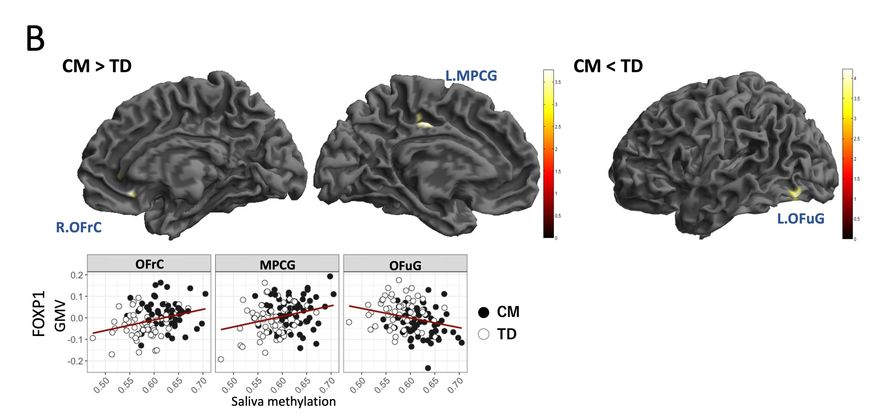Brain imaging and methylation data comparing clinical groups